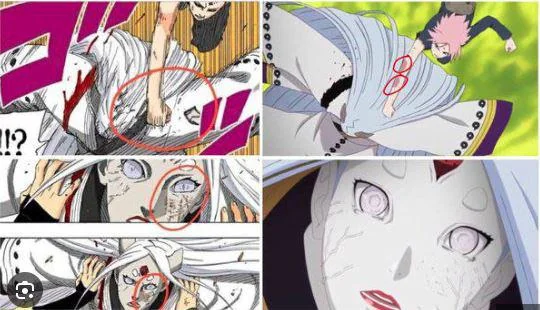 Sakura vs studio pierrot